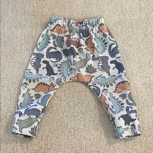 Dinosaur Print Kids Harem pants